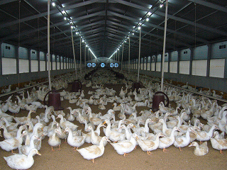 facility_img