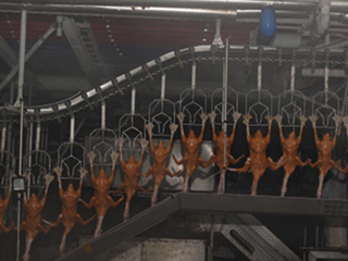 facility_img