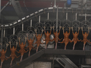 facility_img