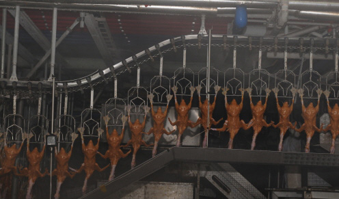 facility_img