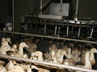 facility_img