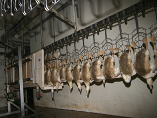 facility_img