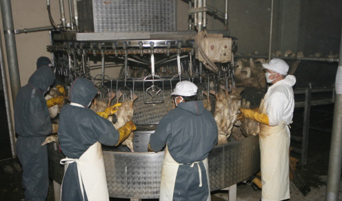 facility_img