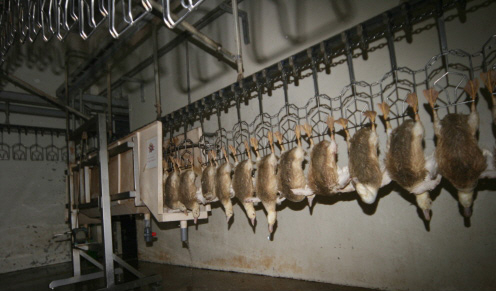 facility_img